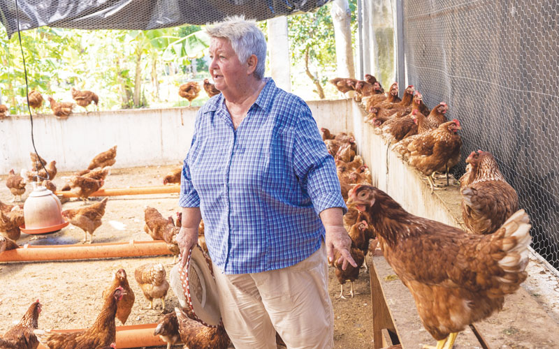 Laying hens and broiler chickens are raised at Santa Maria, says Maryknoll Sister Delia “Dee” Smith, who has served in Guatemala for 33 years. (Octavio Durán/Guatemala)