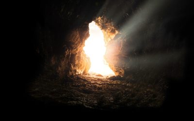 Photo by Bruno van der Kraan, available in the public domain via Unsplash.