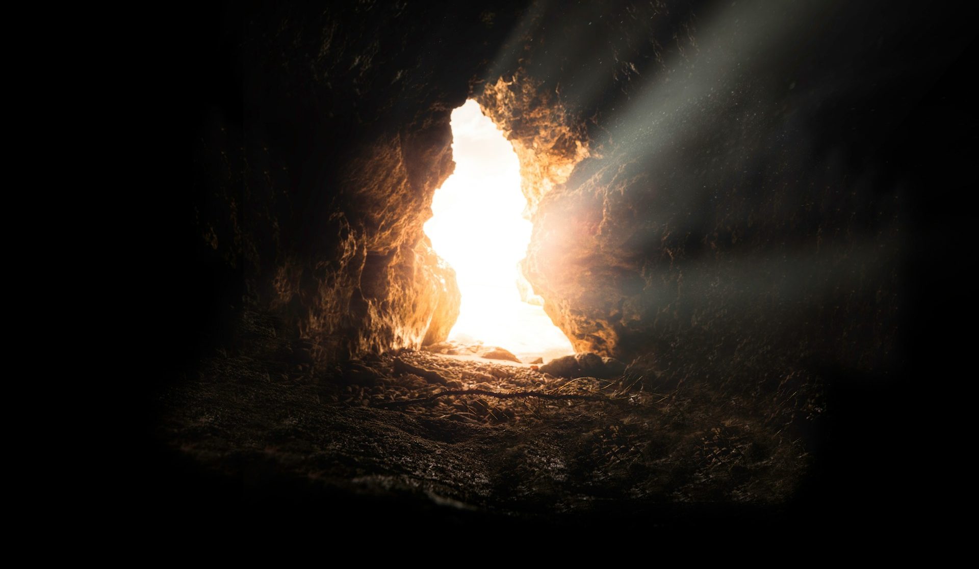 Photo by Bruno van der Kraan, available in the public domain via Unsplash.