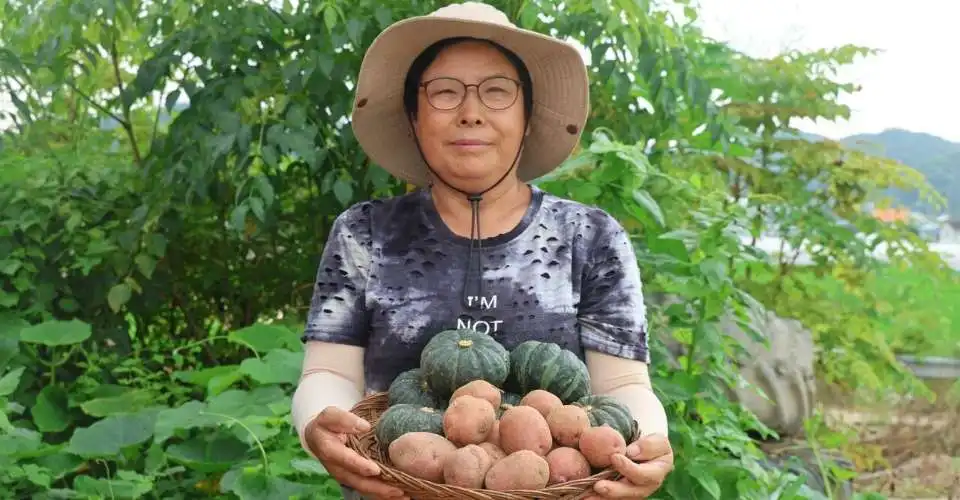South Korean Catholic farmer Rose Choi Seong-sun is seen on her farm in Uijeongbu city in South Korea’s Gyeonggi province. (Catholic Times of Korea)