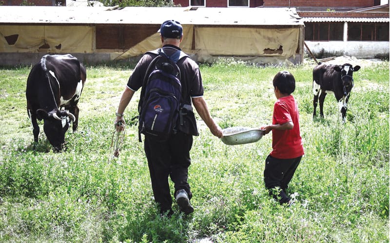Como parte de sus deberes diarios, los niños recogen huevos de gallina. Además alimentan y dan de beber a dos becerros que pastan en los campos de la propiedad del hogar. (Adam Mitchell/Bolivia)