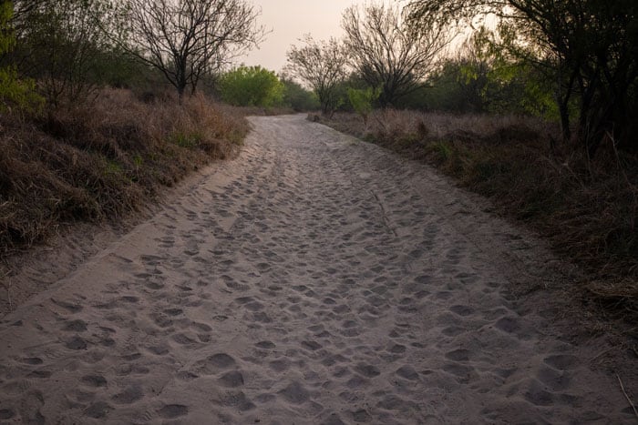 Se ven huellas de migrantes en busca de asilo en un camino de tierra en Penitas, Texas, después de cruzar el Río Grande el 17 de marzo de 2021. (Foto CNS/Adrees Latif, Reuters)