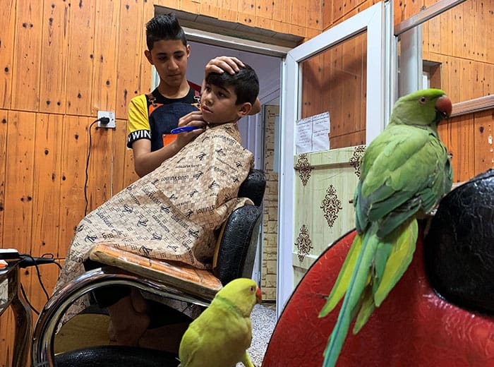 Niños iraquíes se afeitan entre sí en un orfanato durante el toque de queda impuesto para evitar la propagación del COVID-19 el 3 de junio de 2020. Los investigadores estiman que la cantidad de niños huérfanos aumentó un 90 % durante el aumento de la variante delta. (Foto del CNS/Maher Nazeh, Reuters)