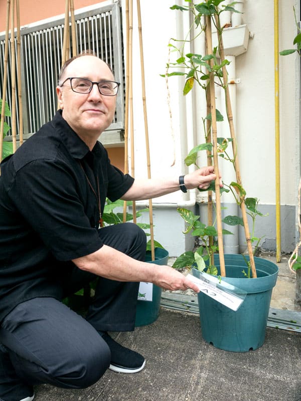 El hermano Gruner arrodillado junto a un plantón.