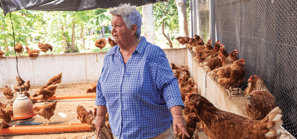 La Hermana Dee Smith visita el criadero de gallinas ponedoras y pollos de engorde en Santa María. (Octavio Durán, OFM/Guatemala)