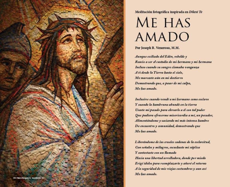 Me has amado