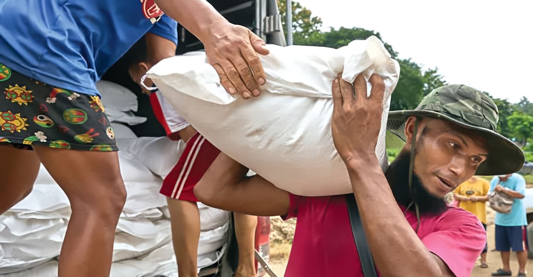 Bags of rice are being handed down off a truck.