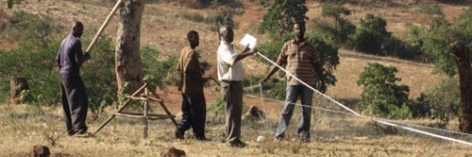 Planning an orchard of moringa oleifera trees in Kenya