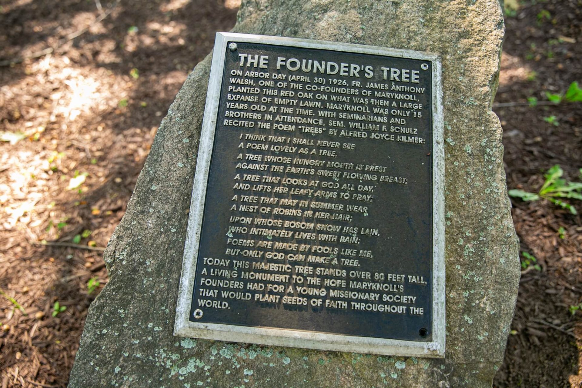 The Founders Tree plaque celebrating the oak planted in 1926 that has become a living monument to the Maryknoll Society spirit.