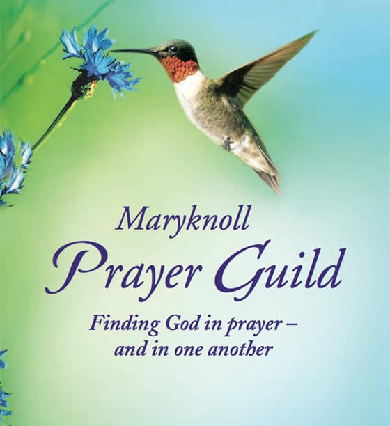 A hummingbird feeds from a blue flower.   Maryknoll Prayer Guild.  Finding God in prayer - and in one another.